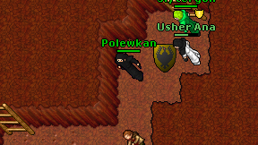Polewkan on screen