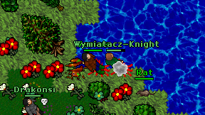 Wymiatacz-Knight on screen