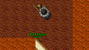 Kattnon on screen
