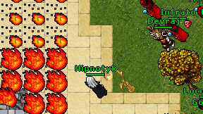 Hipnotyk on screen