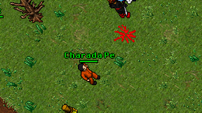 Charada Pe on screen