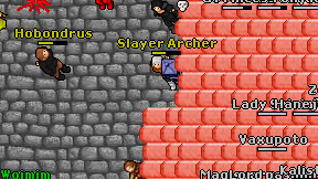 Slayer Archer on screen