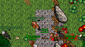 Nopotak on screen