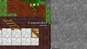 Comander tigoo on screen
