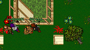 Sireto on screen