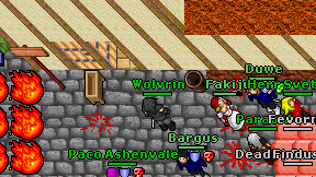 Wolvrin on screen