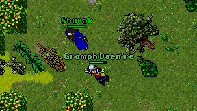 Gromph Baen're on screen