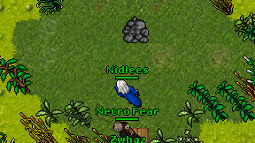 Nidlees on screen
