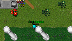 Bigroman on screen