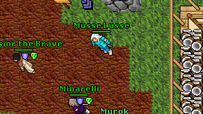 Musse Lusse on screen