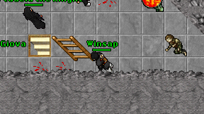 Winsap on screen
