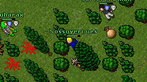 Nossoyerc ues on screen