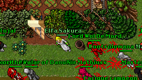 Elfa Sakura on screen