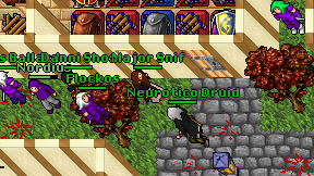 Neurotico Druid on screen