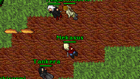 Mekasus on screen