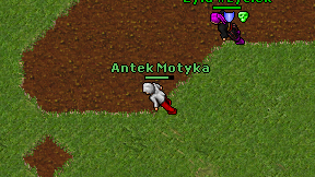 Antek Motyka on screen