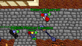 Velorm Ligarrot on screen