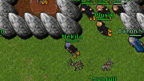 Mekila on screen
