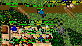 Shadow of Lotus on screen