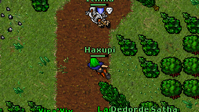 Haxupi on screen