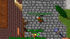 Dark draggonn on screen