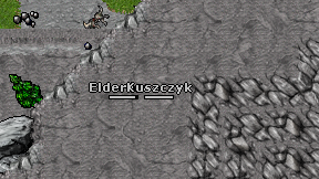 Kuszczyk on screen