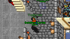 Taderaiz on screen