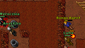 Lufis on screen