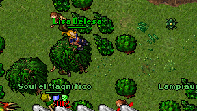 Lisa Belesa on screen