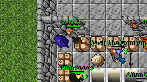 Semaxe on screen