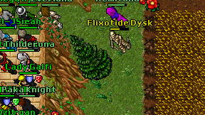 Flixotide Dysk on screen