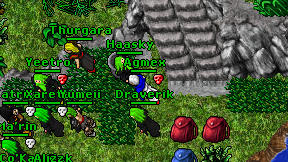 Agmex on screen