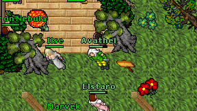 Avathel on screen