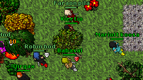Viertio on screen