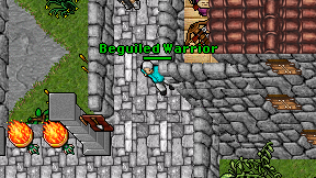 Beguiled Warrior on screen