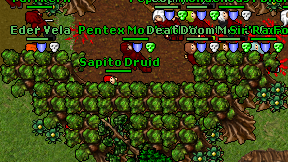 Sapito Druid on screen