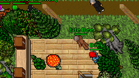 Ede Dee on screen