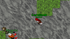 Carolinak on screen