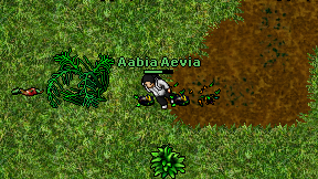 Aabia Aevia on screen