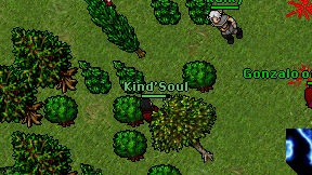 Kind'Soul on screen
