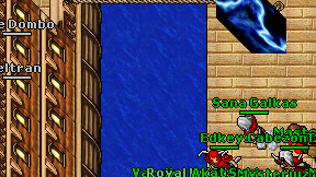 Zeltran on screen