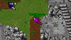 Rudygorn on screen