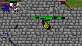 Sokolowski Paladyn on screen