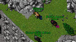 Giluze on screen