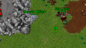 Regin Willer on screen