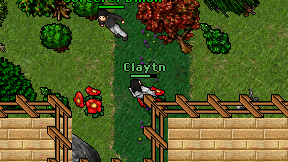 Claytn on screen