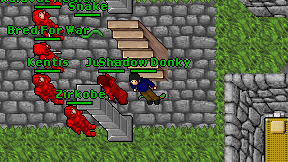 Shadow Donky on screen