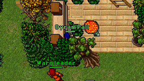 Dyram Pall on screen