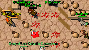 Klopsek on screen