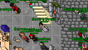 Safire Druid on screen